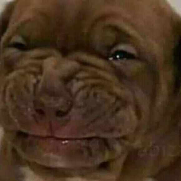 Hopes&Dreams_ - Picture 1 of 1